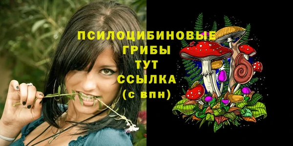 спайс Бородино