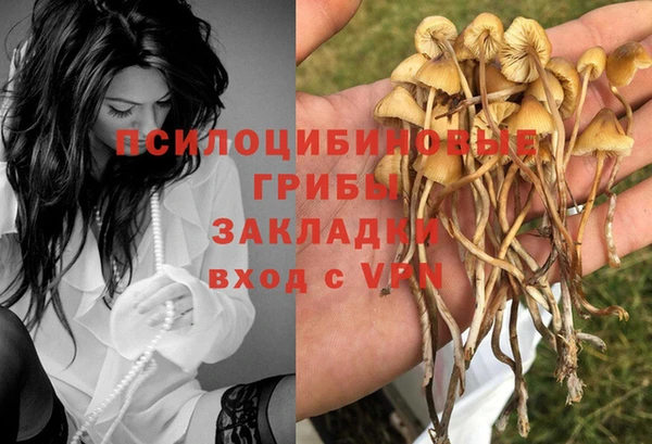 ГАЛЛЮЦИНОГЕННЫЕ ГРИБЫ Семикаракорск