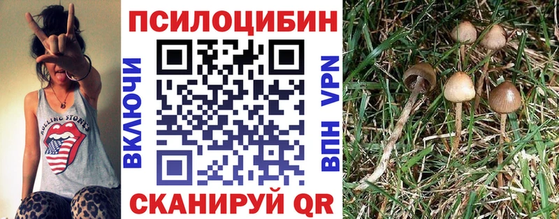 Псилоцибиновые грибы Magic Shrooms  Видное 
